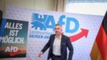 Landtagswahl Sachsen-Anhalt: AfD-Wahlkampagne: Viele Motive KI-generiert
