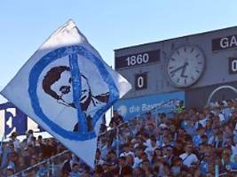 scheiß auf den scheich: 1860-fans schäumen vor wut, tsv havelse will profitieren