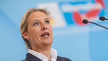 medienbericht: gericht könnte millionen-erbe der afd einkassieren