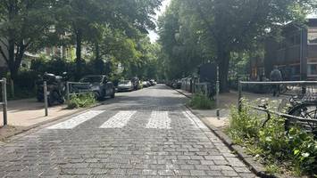 zum 6. mal: aktivisten tragen verbotenen zebrastreifen in hoheluft-west auf