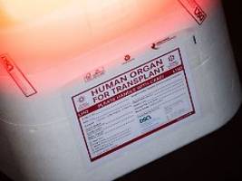 spendenzahl wieder gestiegen: organe bleiben in deutschland mangelware