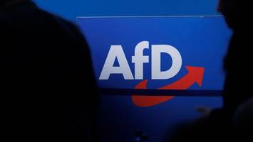 neue umfrage: afd wird immer beliebter – vorsprung zur union so groß wie nie