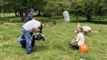 die seltenen schafe vom höltigbaum werden jetzt tv-stars