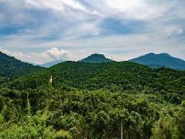 Ich hatte nichts zu essen: Malaysische Fischer entdecken wochenlang vermisste Wanderin