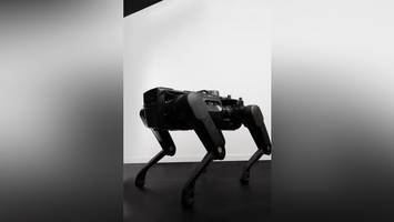 Roboter-Hunde aus Europa? Deutsches Rüstungs-Start-up eifert US-Herstellern nach