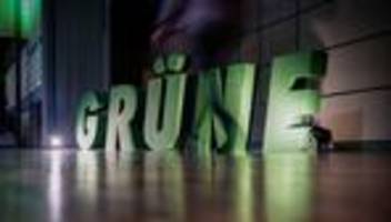 urabstimmung bei den grünen: grüne stimmen über umstrittene parteireform ab