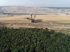 einigung über dauerhaften schutz: hambacher wald wird zum wildnisgebiet