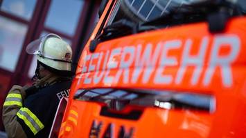 Ekel-Alarm bei Berliner Feuerwehr: Schädlingsbekämpfer „ist bereits angefordert“