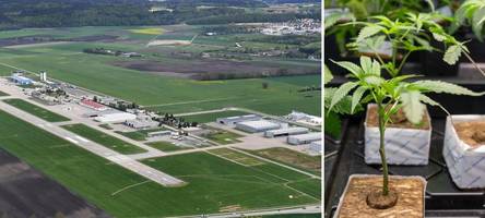 Marihuana-Plantage beim Augsburger Flughafen? Fall eines Cannabis-Clubs landet vor Gericht