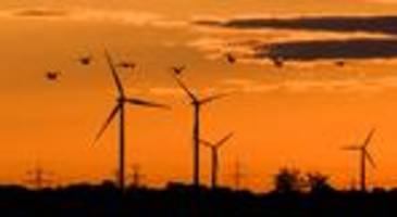 Jahresbericht vorgelegt: Rechnungshof rügt Klimaschutzpolitik des Landes