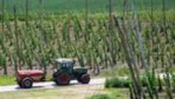 Landwirtschaft: Bierkrise in den reichen Ländern setzt dem Hopfen zu