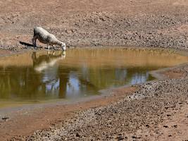 Klimawandel: US-Wetterbehörde: El Niño ist da