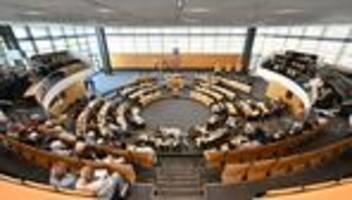parlament: afd will in landtagssondersitzung über ihren parteitag reden