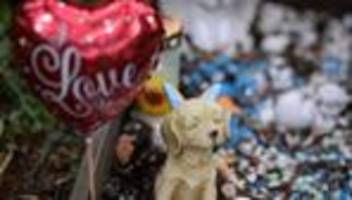 tierbestattungen: picknick am grab - wie hessen um haustiere trauern