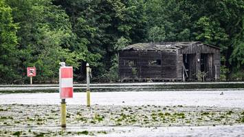 Insel im Müggelsee steht zum Verkauf – doch das Angebot hat einen Haken