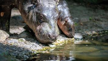 Berliner Zoo: Ein Name ist wichtig, aber nicht jeder Trend richtig