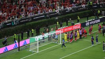 Kurioser Anblick: Hecke im Stadion sorgt für Verwunderung beim zweiten WM-Spiel