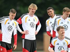 Fußball-WM: Wenn die Fans für Leidenschaft bis zu 150 Euro je Trikot ausgeben