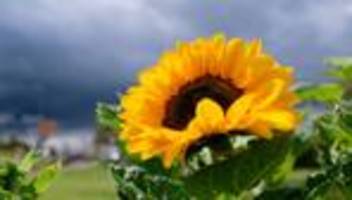 dwd-prognose: wo es in baden-württemberg am wochenende sonnig wird