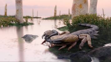 Fossil vom Riesenskorpion entschlüsselt – Urzeitjäger war so groß wie ein Hund