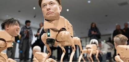 Wie wir mit künstlicher Intelligenz zu einer Gesellschaft der Trickser und Hütchenspieler werden