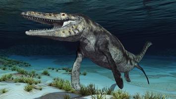 Forscher entdecken gefährlichen Meeres-Tyrann – Fossil zeugt von Brutalität