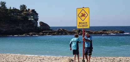 Australien: Nach Hai-Attacke sollen Drohnen Schwimmer besser schützen