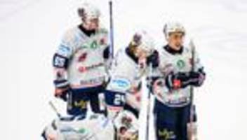 Deutsche Eishockey Liga: Eisbären verpflichten Nachwuchsstürmer Saffran aus Iserlohn