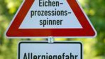 Raupen verursachen Juckreiz: Wieder Spielplatz wegen Eichenprozessionsspinner gesperrt