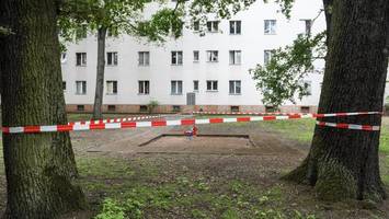 nach bezirksklagen: senat koordiniert kampf gegen eichenprozessionsspinner