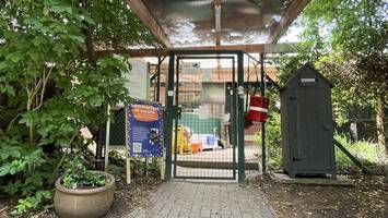 lichtblick für tierheim bad oldesloe: neuer standort rückt in greifbare nähe