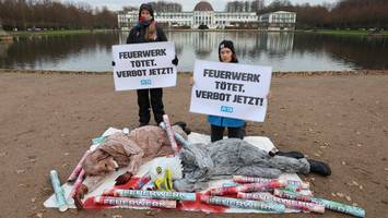 tierschützer wollen in hamburg mit drastischer aktion für böllerverbot eintreten
