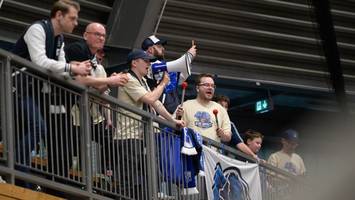 vfl sparkassenstars bochum: dieser neue kommt – gerüchte um drei weitere spieler