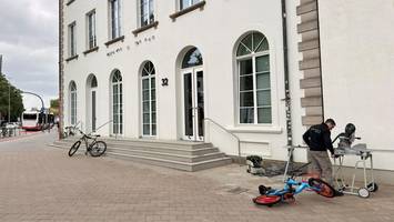 in hamburg eröffnet das „schönste und größte katzencafé deutschlands“