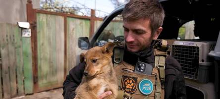 tierretter in der todeszone: unterwegs mit einem besonderen schutzengel in der ukraine