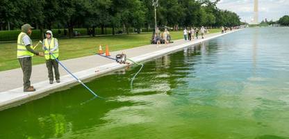 Donald Trump und der »Reflecting Pool«: Algen trüben Jubiläumspool