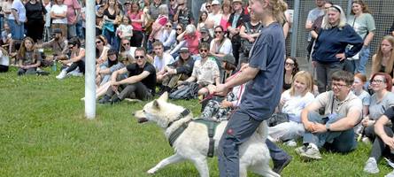 Über 2.500 besucherinnen und besucher beim sommerfest im tierheim lecharche
