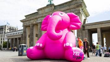 krebs als tabu: darum steht ein rosafarbener elefant vor dem brandenburger tor