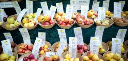 Gentechnik im Supermarkt: Bio-Verbände warnen vor Folgen für Verbraucher