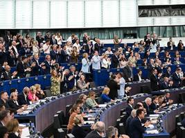 Rechtsextreme im EU-Parlament: Sie jubeln, als wäre es Fußball