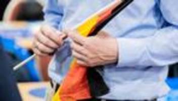 AfD-Spendenaffäre: AfD geht wegen einbehaltener Parteispende Berufung ein