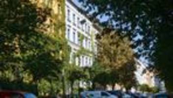 Umwelt: Berlins Straßenbäume brauchen Wasser - So gießt man richtig