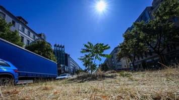 Hitze-Hotspots in Lichtenberg: Hier ist es im Sommer besonders heiß