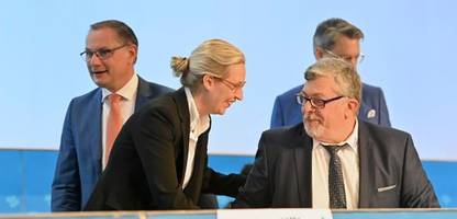 AfD: Rechtsstreit um dubiose AfD-Spende aus Österreich geht weiter