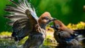Fotografie: Bilder des Tages