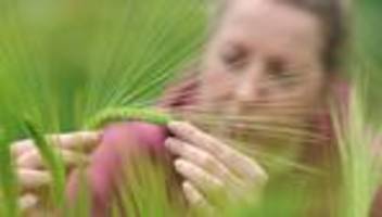 landwirtschaft und forschung: gentechnik-reform: zustimmung und kritik in sachsen-anhalt