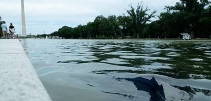 donald trump – washington: neue farbe des lincoln memorial reflecting pool blättert ab