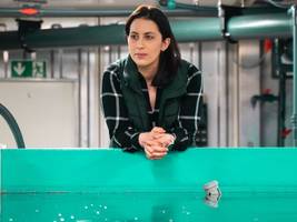 insolventes start-up seawater cubes: „ich würde es wieder machen, nur anders“