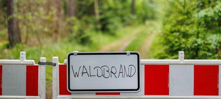 Wollten Brandstifter einen Wald bei Kleinberghofen abfackeln? Kripo ermittelt