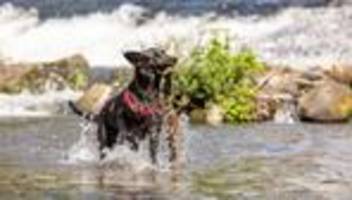 Fotografie: Bilder des Tages